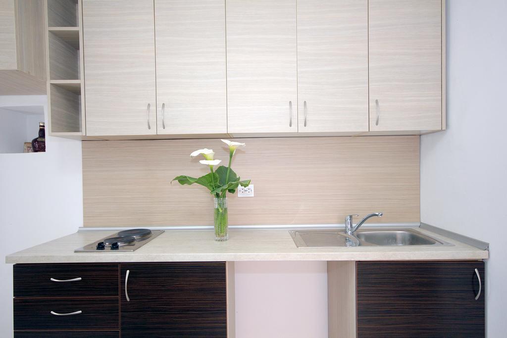 Apartments Pavlovic Petrovac 外观 照片