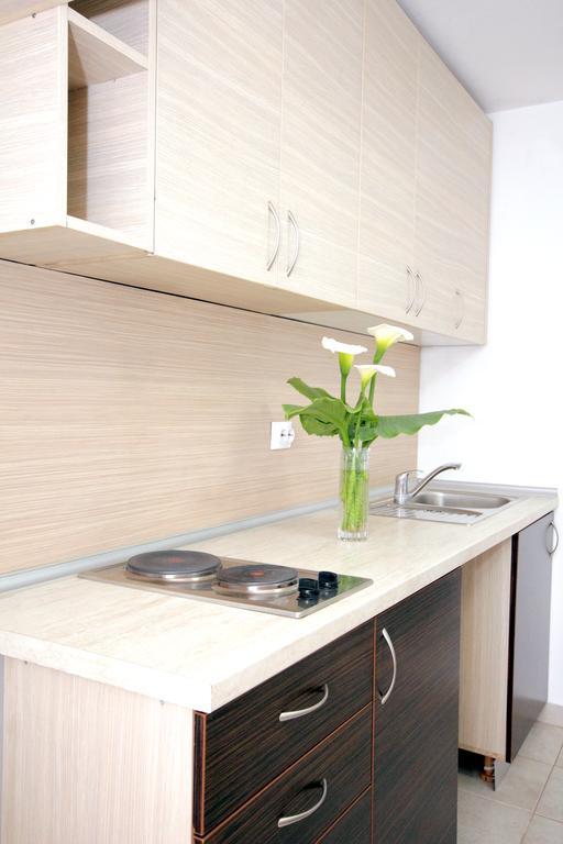 Apartments Pavlovic Petrovac 外观 照片